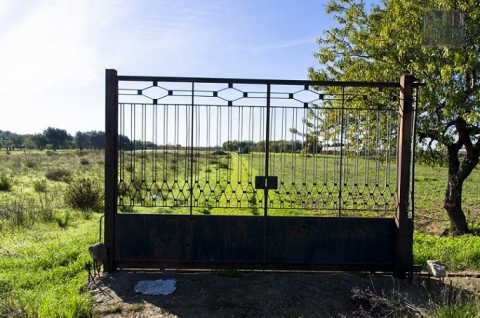 Le antiche e sopravvissute strade rurali di Bari, l� dove il tempo si � fermato